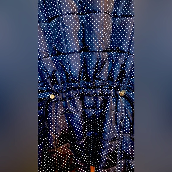 EUC 6 vests -4 CROFT & BARROW VARIOUS STYLES , 1 LIME DAISY FUENTES 1 ChAPS - Picture 12 of 14